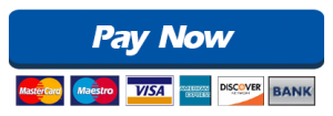 Paynow-300x105