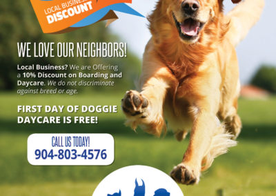 Unleash Fido Flyer & Trifold Brochure